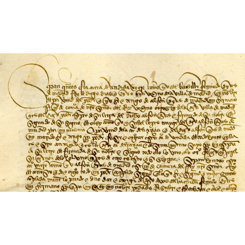 Paleografía: letra cortesana y procesal encadenada